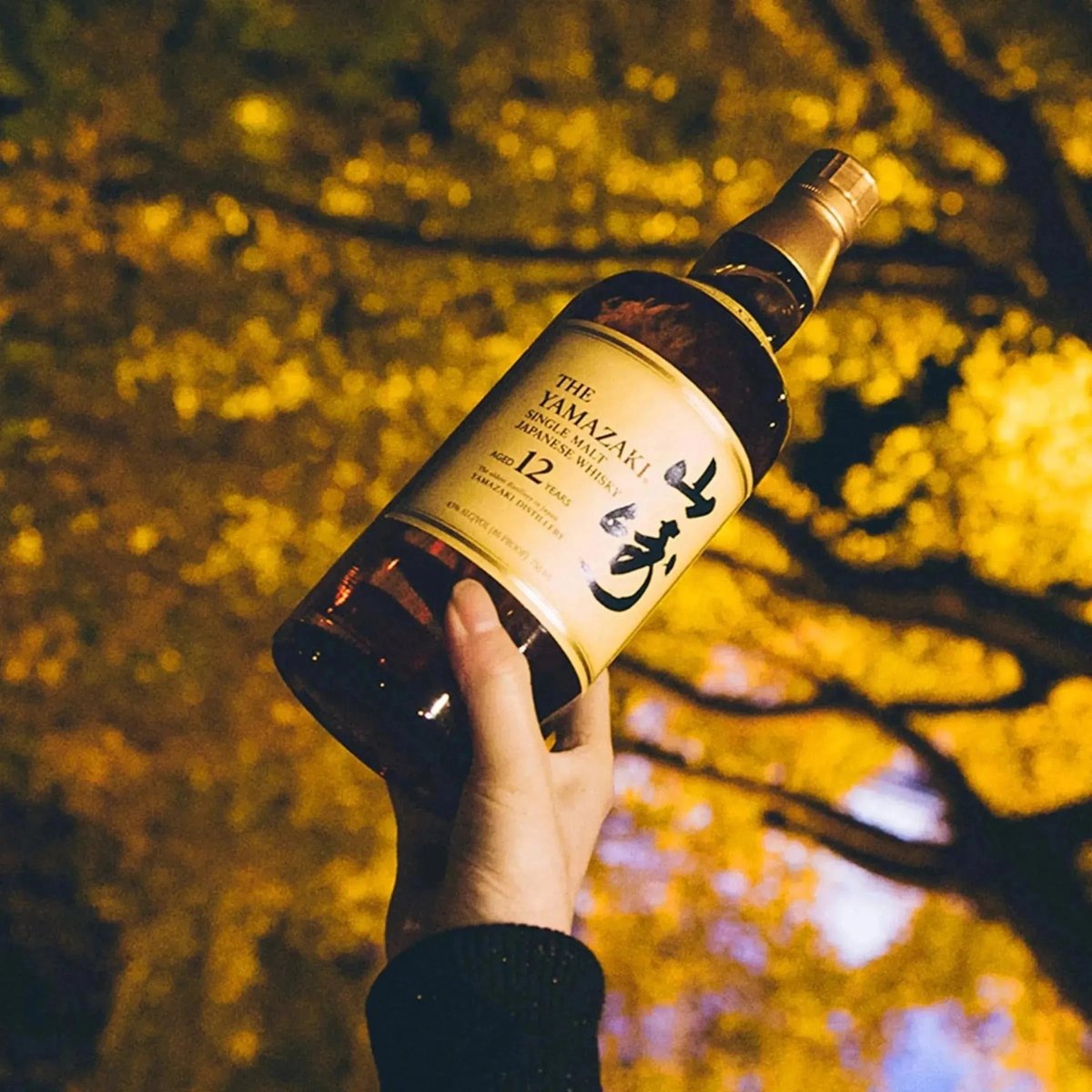 山崎12年 - Yamazaki 12 - 12YO, 43% (分現金/信用卡價) - Japanese Whisky