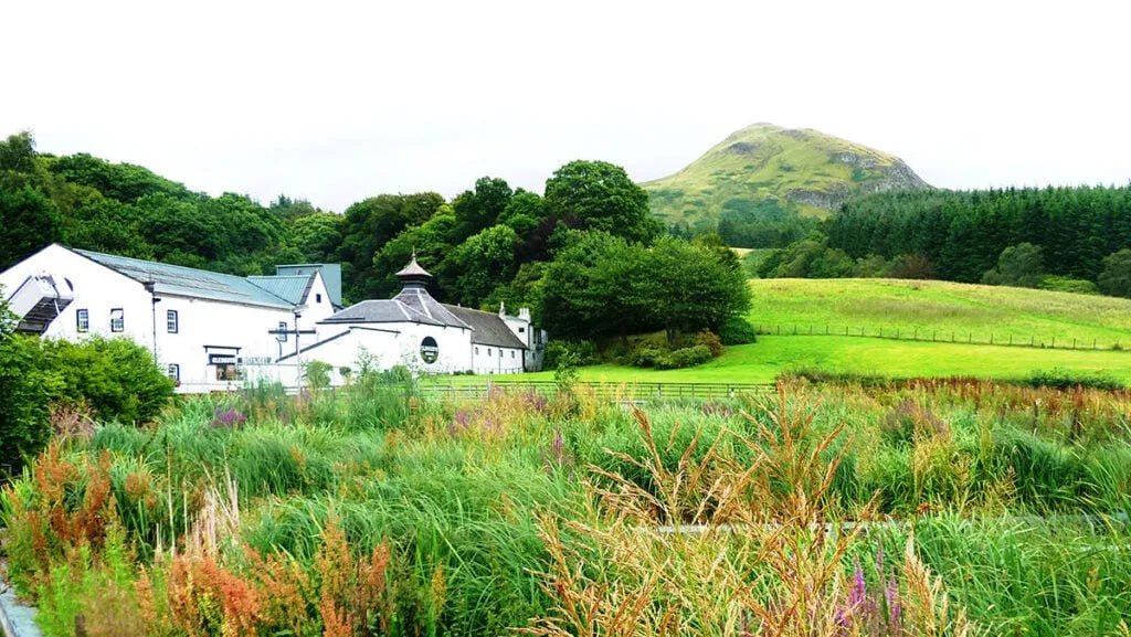 威士忌廢料的華麗轉身：從飼料到高價值產品的創新旅程 - Alcohol Please