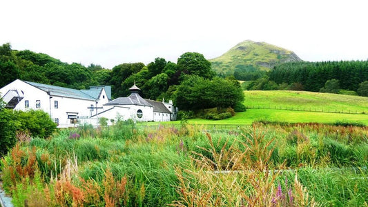 威士忌廢料的華麗轉身：從飼料到高價值產品的創新旅程