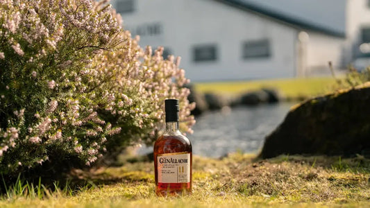 GlenAllachie 11年 Palo Cortado 限量登場