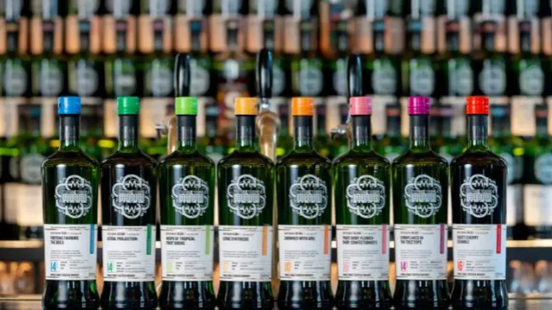 SMWS母公司ASC開局強健：美中市場帶動全球會員激增20%