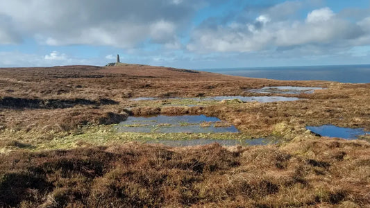 威士忌巨頭聯手 斥資修復艾雷島泥炭地